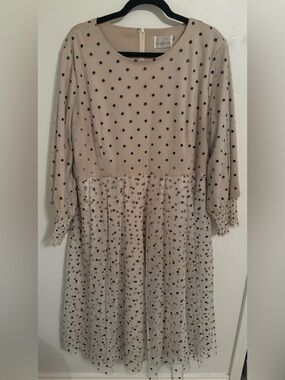 Dainty Jewells Beige Black Polkadot Dress